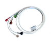 Kabel für CRM Microport Langzeit-EKG-Recorder SpiderView